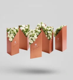 Flower Boxes
