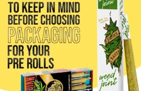 8 things to keep in mind