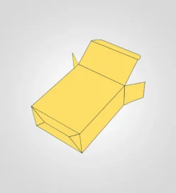 Tuck End Auto Bottom Boxes